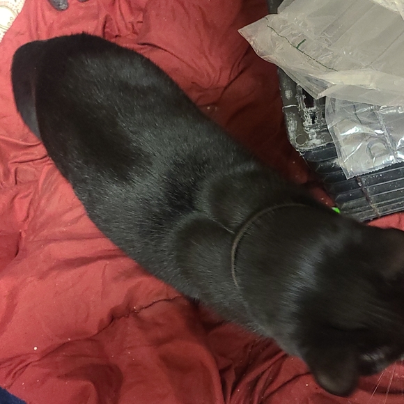 Prices and reasonable offers chart - Picture 7 of 8